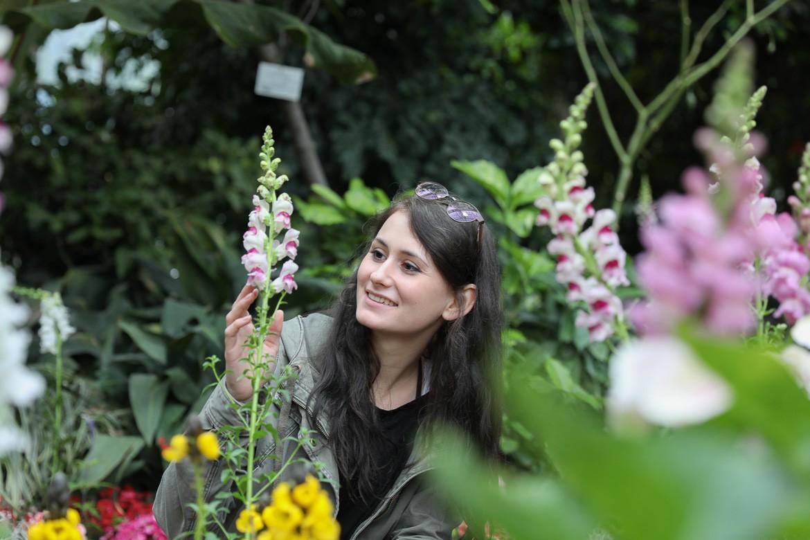 Isabel Mischka, botanische zeichnerin Palmenhaus